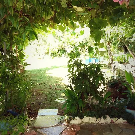 Apartman Nikostudios *
